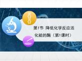 人教版 (新課標(biāo))高中生物必修1 5-1《降低化學(xué)反應(yīng)活化能的酶》第1課時(shí)課件