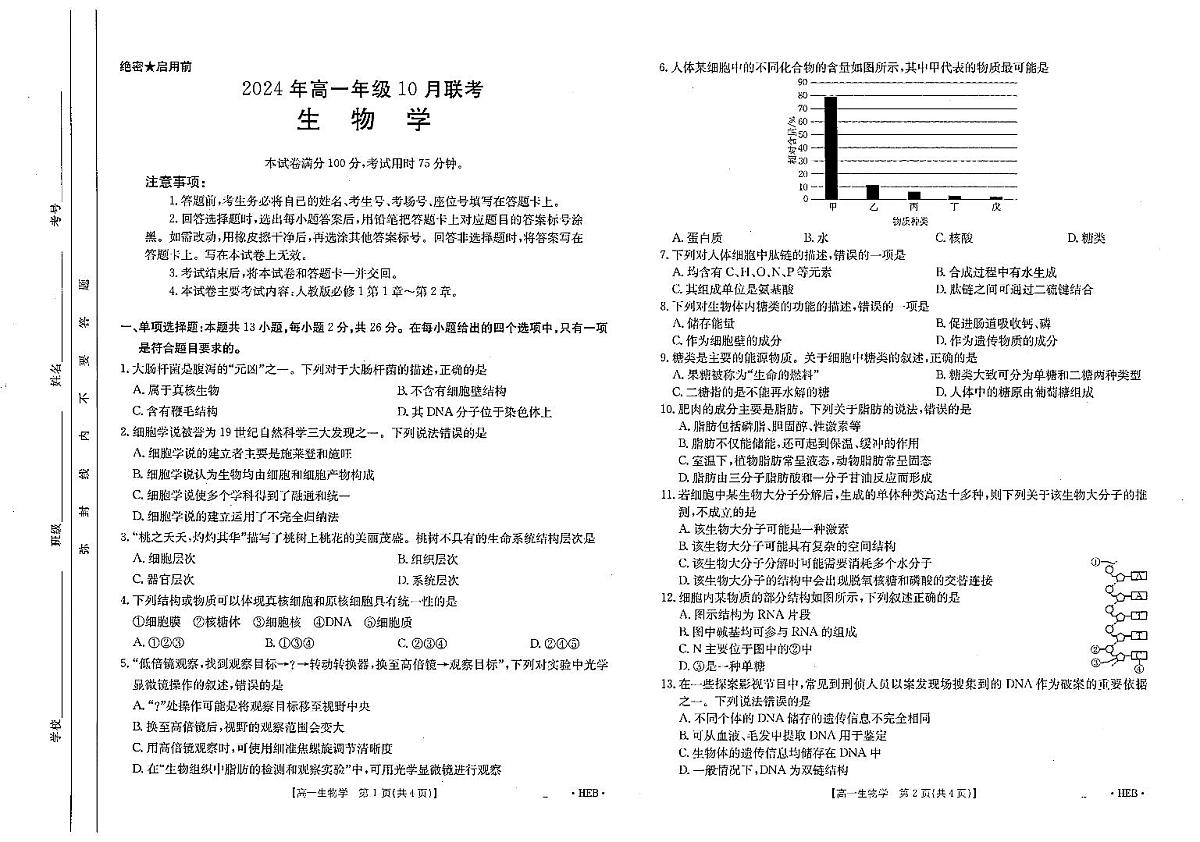 河北省部分高中2024—2025学年高一上学期10月考试生物试题第1页