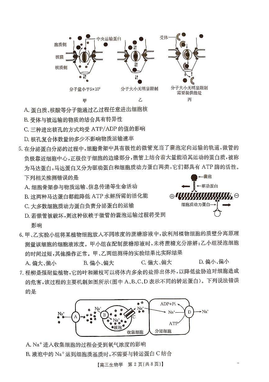河北省部分学校2024-2025学年高三上学期9月月考生物试题第2页