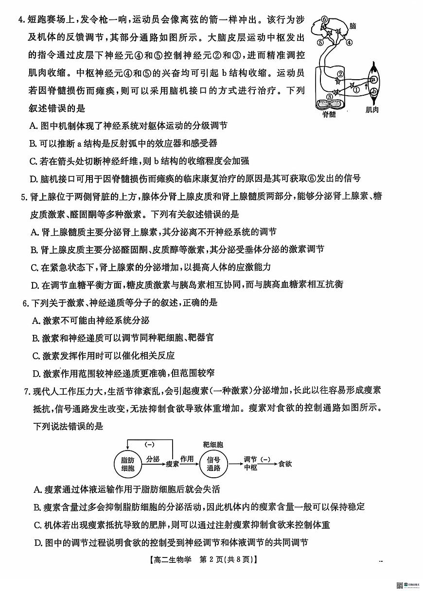 河北省沧衡名校联盟2024-2025学年高二上学期11月期中考试生物试题第2页