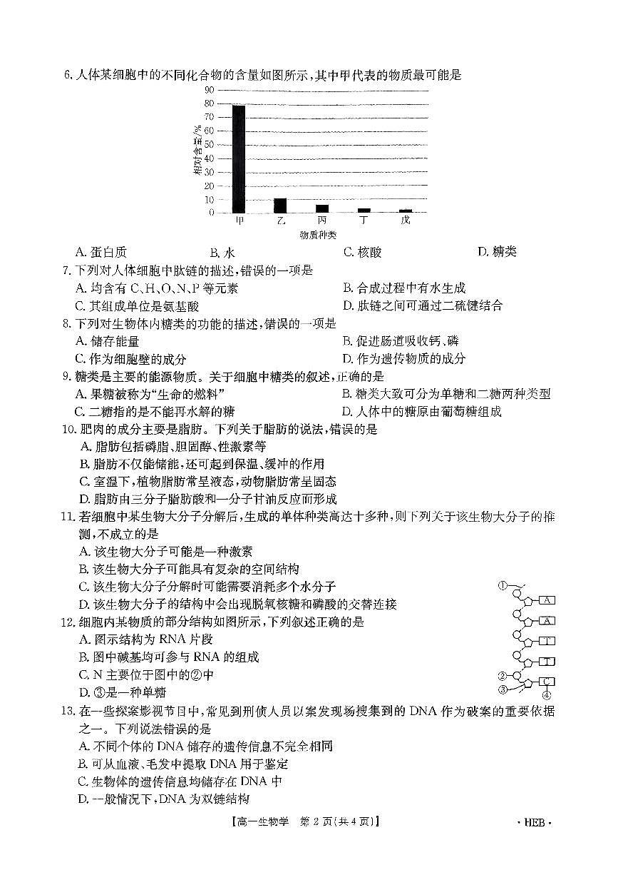 河北省沧州市沧县沧县中学2024-2025学年高一上学期10月月考生物试题第2页
