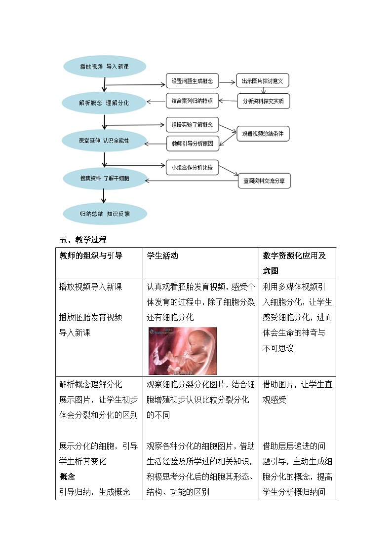 人教版 (新课标)高中生物 必修1 6-2《细胞的分化》教案第2页