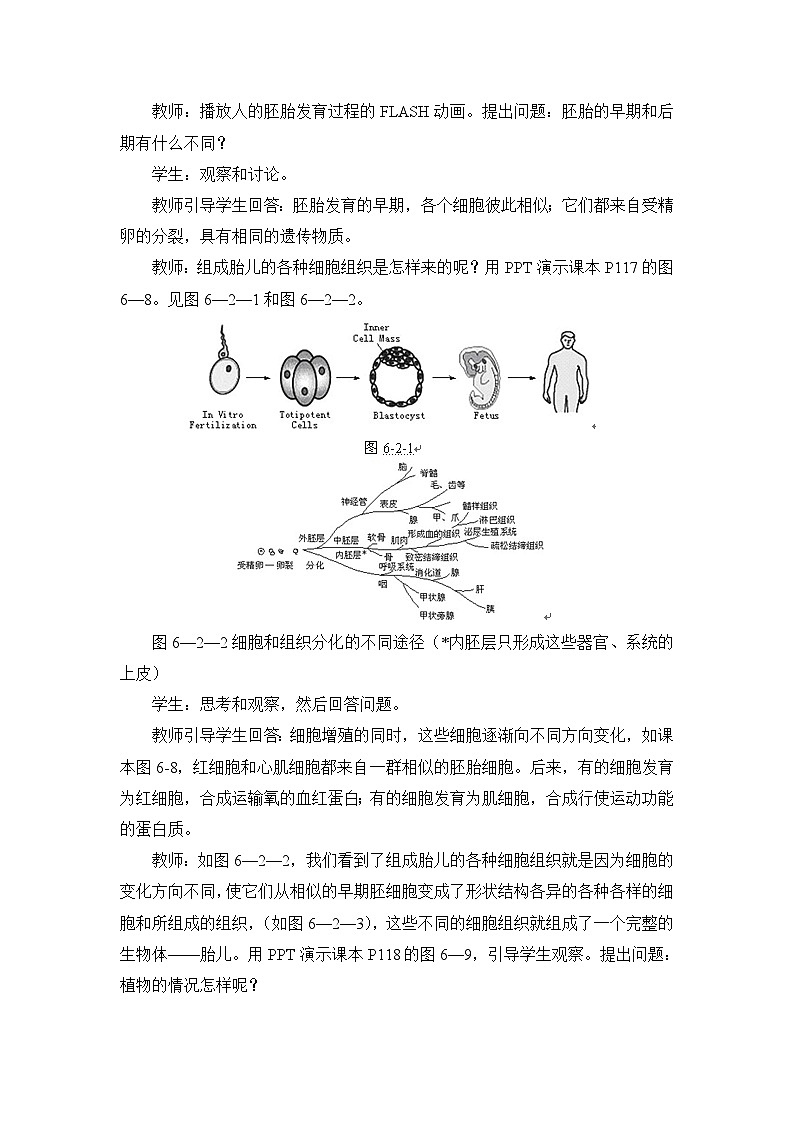 人教版 (新课标)高中生物 必修1 6-2《细胞的分化》教学设计第2页