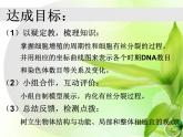 人教版 (新課標(biāo))高中生物 必修1 6-1《細(xì)胞的增殖（第2課時(shí)）》課件