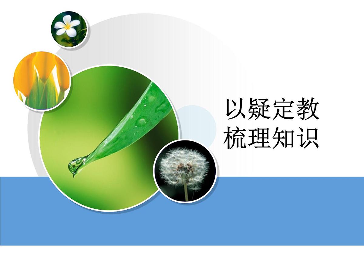 人教版 (新课标)高中生物 必修1 6-1《细胞的增殖（第2课时）》课件第3页