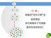 人教版 (新課標(biāo))高中生物 必修1 6-1《細(xì)胞的增殖（第2課時(shí)）》課件