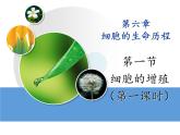 人教版 (新課標(biāo))高中生物 必修1 6-1《細(xì)胞的增殖（第1課時(shí)）》課件