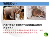 人教版 (新課標(biāo))高中生物 必修1 6-1《細(xì)胞的增殖（第1課時(shí)）》課件