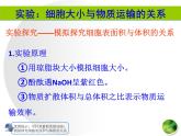 人教版 (新課標(biāo))高中生物 必修1 6-1《細(xì)胞的增殖（第1課時(shí)）》課件