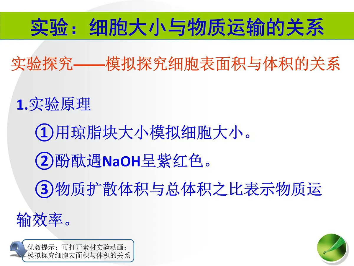 人教版 (新课标)高中生物 必修1 6-1《细胞的增殖（第1课时）》课件第4页