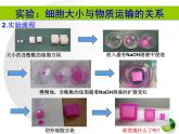 人教版 (新課標(biāo))高中生物 必修1 6-1《細(xì)胞的增殖（第1課時(shí)）》課件