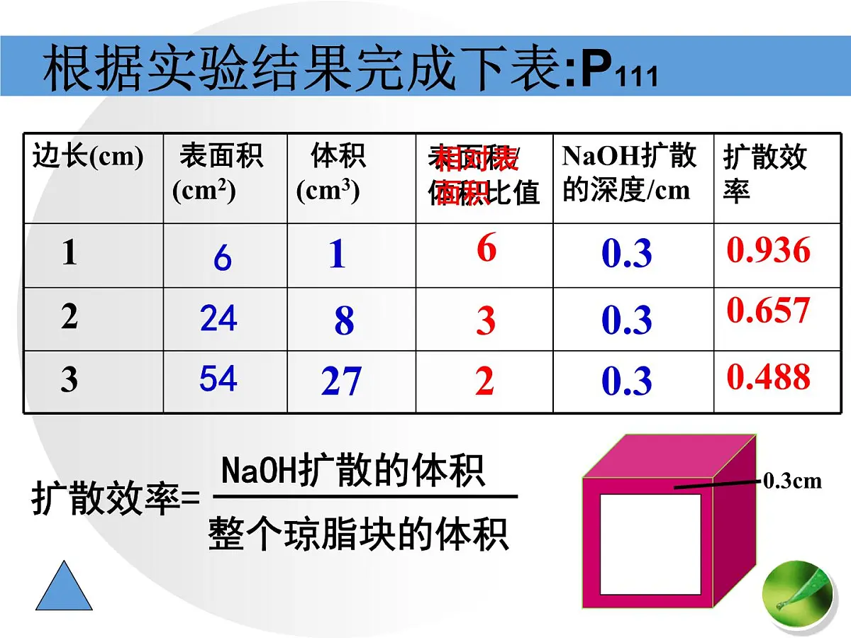 人教版 (新课标)高中生物 必修1 6-1《细胞的增殖（第1课时）》课件第7页
