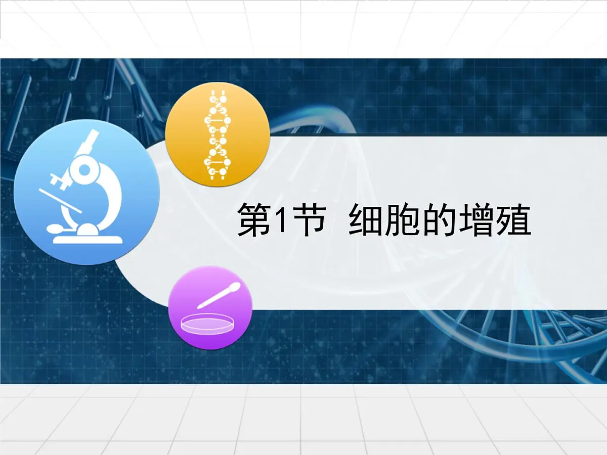 人教版 (新课标)高中生物 必修1 6-1《细胞的增殖》课件第1页