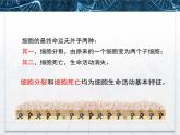 人教版 (新課標(biāo))高中生物 必修1 6-1《細(xì)胞的增殖》課件