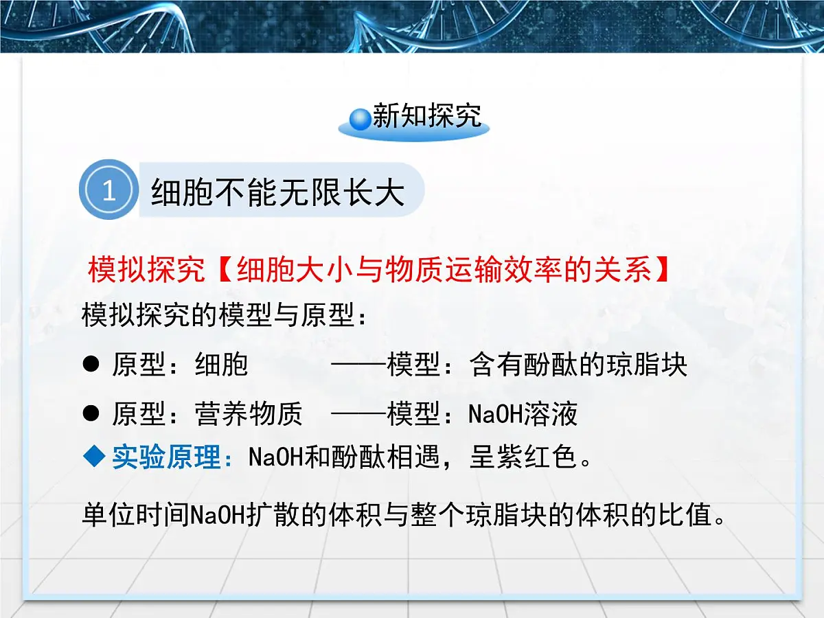 人教版 (新课标)高中生物 必修1 6-1《细胞的增殖》课件第6页
