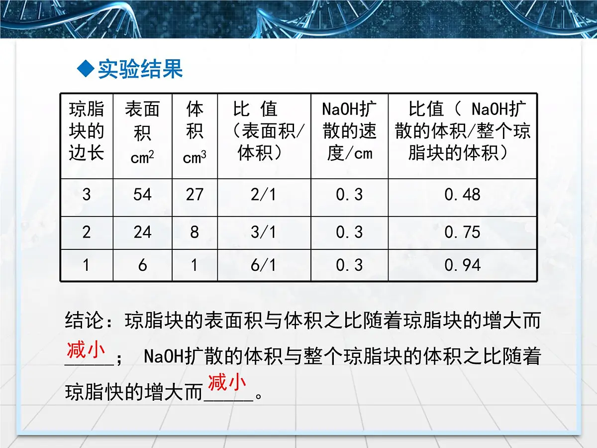 人教版 (新课标)高中生物 必修1 6-1《细胞的增殖》课件第8页