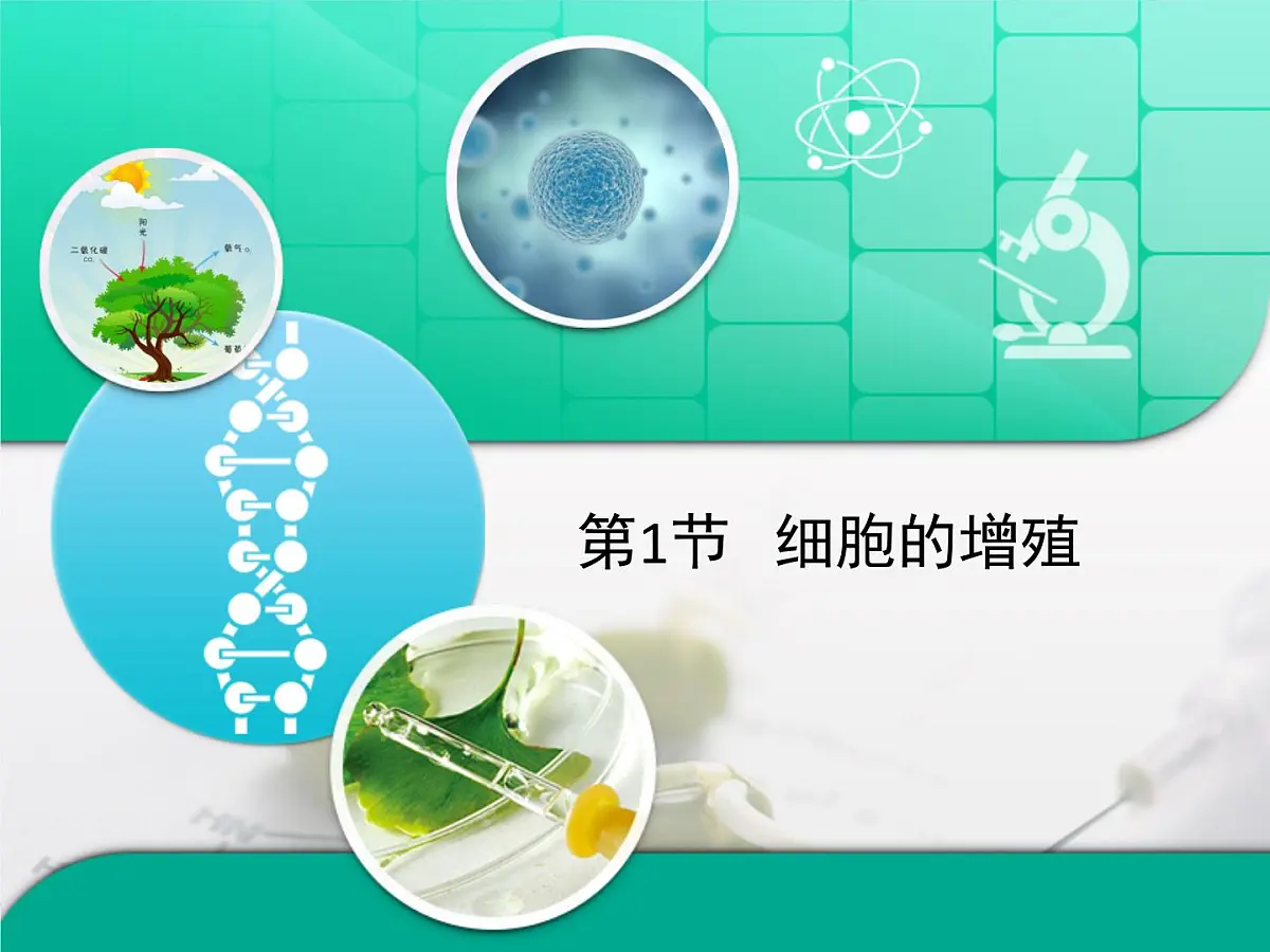 人教版 (新课标)高中生物 必修1 6-1《细胞的增殖》复习课件第1页