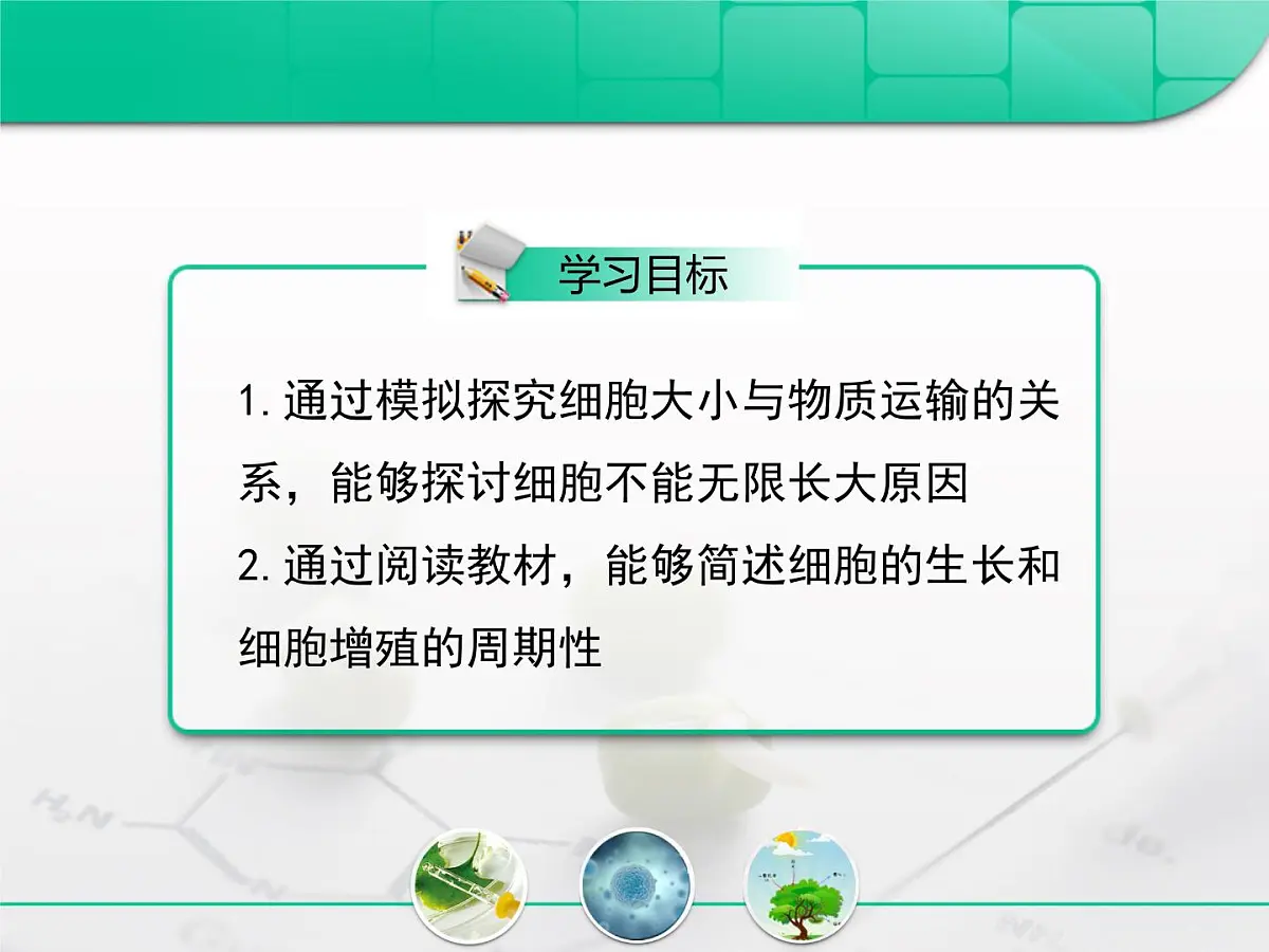 人教版 (新课标)高中生物 必修1 6-1《细胞的增殖》复习课件第2页