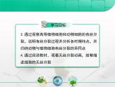 人教版 (新課標(biāo))高中生物 必修1 6-1《細(xì)胞的增殖》復(fù)習(xí)課件