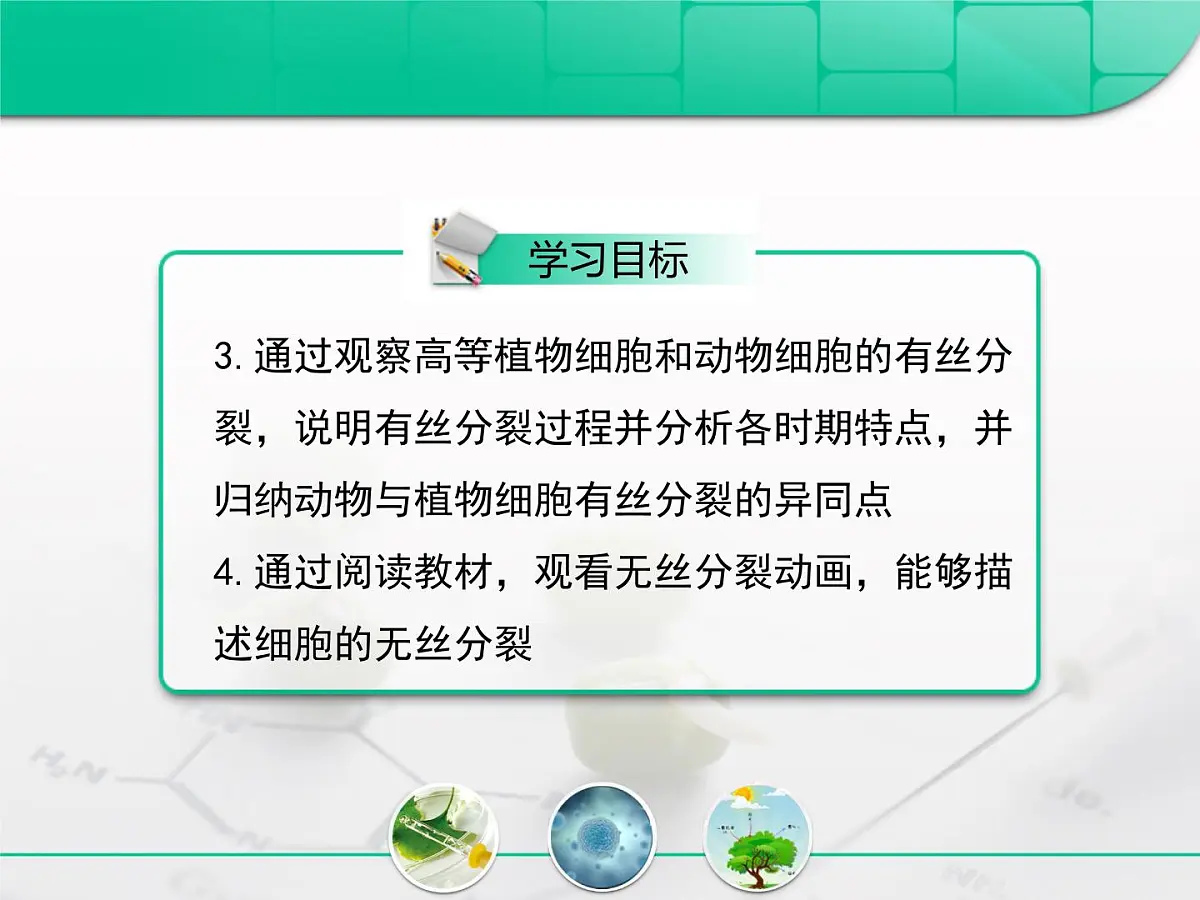 人教版 (新课标)高中生物 必修1 6-1《细胞的增殖》复习课件第3页