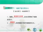 人教版 (新課標(biāo))高中生物 必修1 6-1《細(xì)胞的增殖》復(fù)習(xí)課件