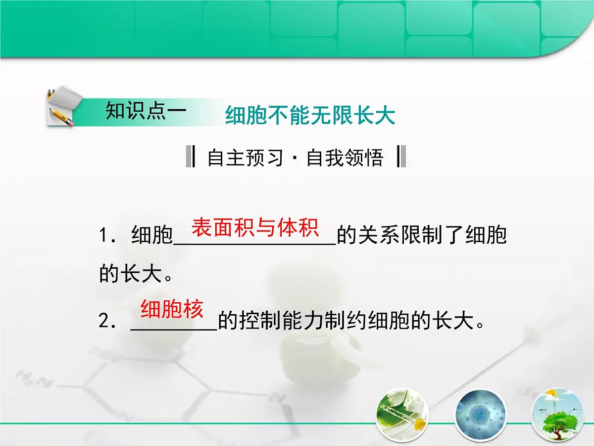 人教版 (新课标)高中生物 必修1 6-1《细胞的增殖》复习课件第4页