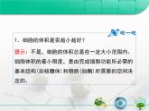 人教版 (新課標(biāo))高中生物 必修1 6-1《細(xì)胞的增殖》復(fù)習(xí)課件