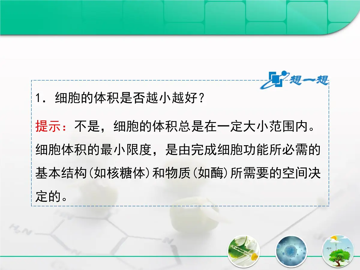 人教版 (新课标)高中生物 必修1 6-1《细胞的增殖》复习课件第5页
