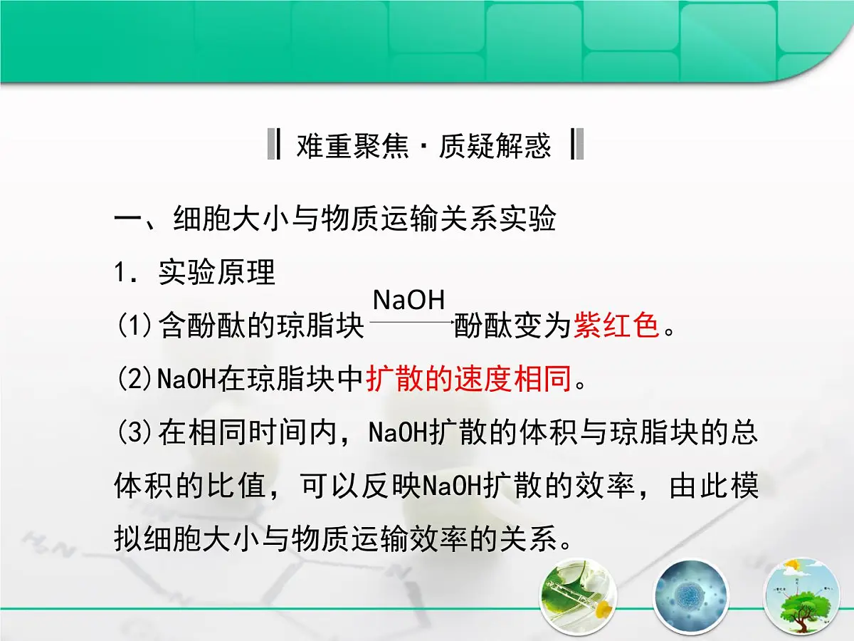 人教版 (新课标)高中生物 必修1 6-1《细胞的增殖》复习课件第6页
