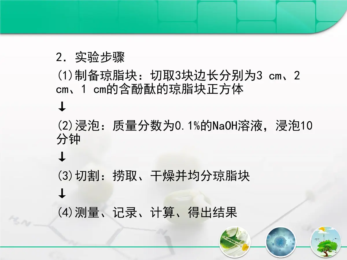 人教版 (新课标)高中生物 必修1 6-1《细胞的增殖》复习课件第7页