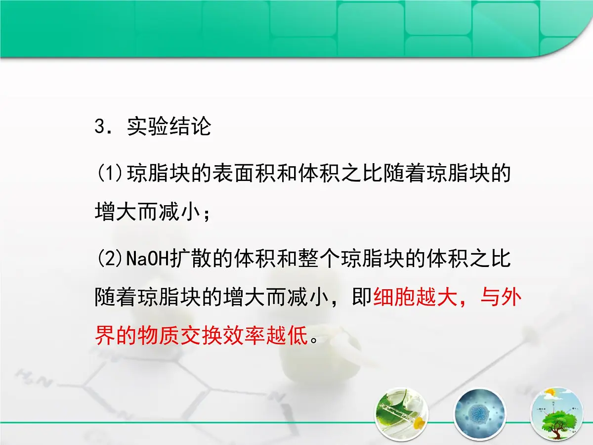 人教版 (新课标)高中生物 必修1 6-1《细胞的增殖》复习课件第8页