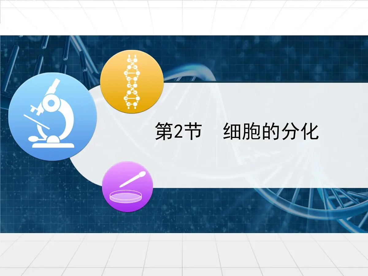 人教版 (新课标)高中生物 必修1 6-2《细胞的分化》课件第1页