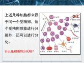 人教版 (新課標(biāo))高中生物 必修1 6-2《細胞的分化》課件