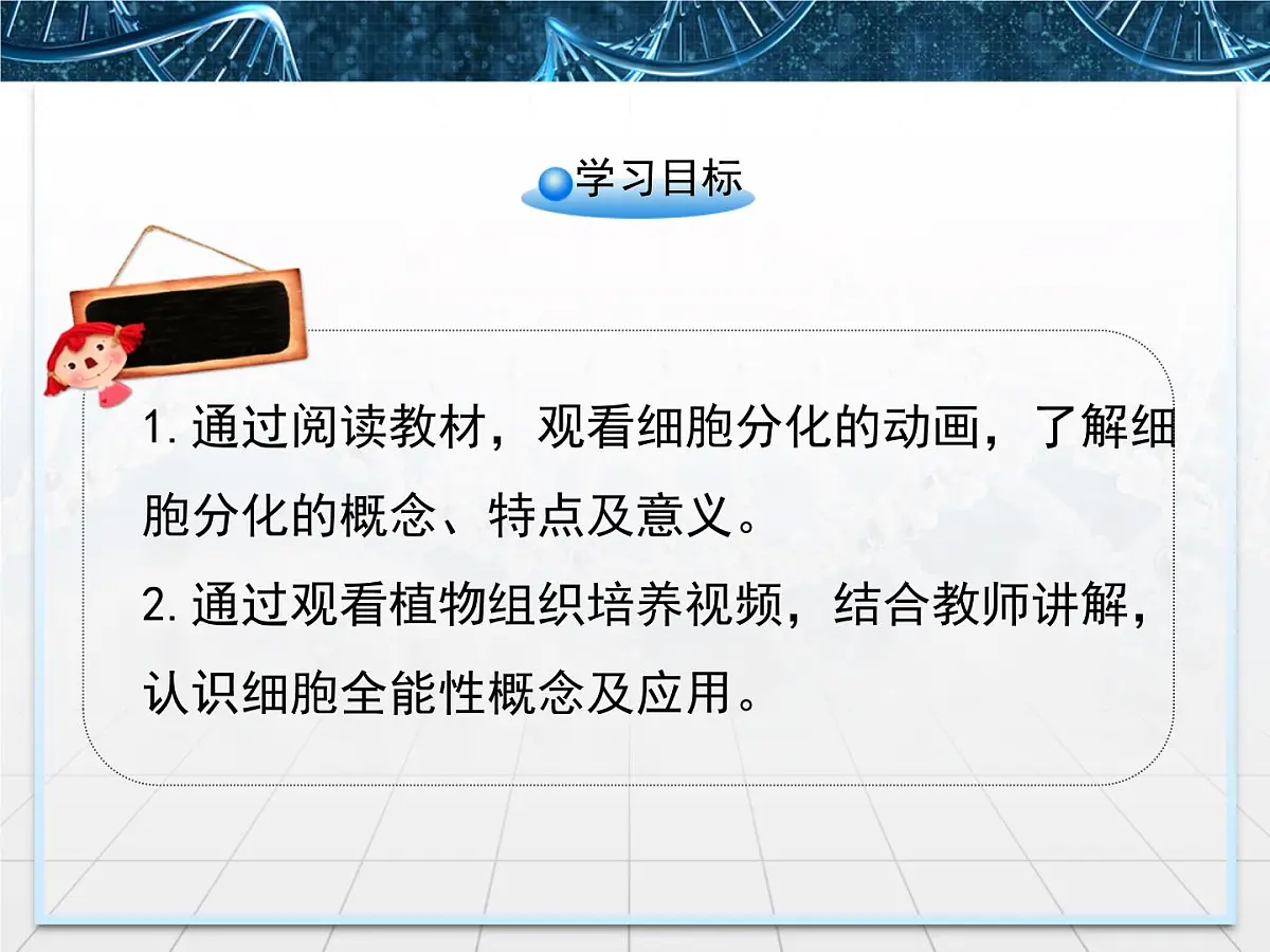 人教版 (新课标)高中生物 必修1 6-2《细胞的分化》课件第4页