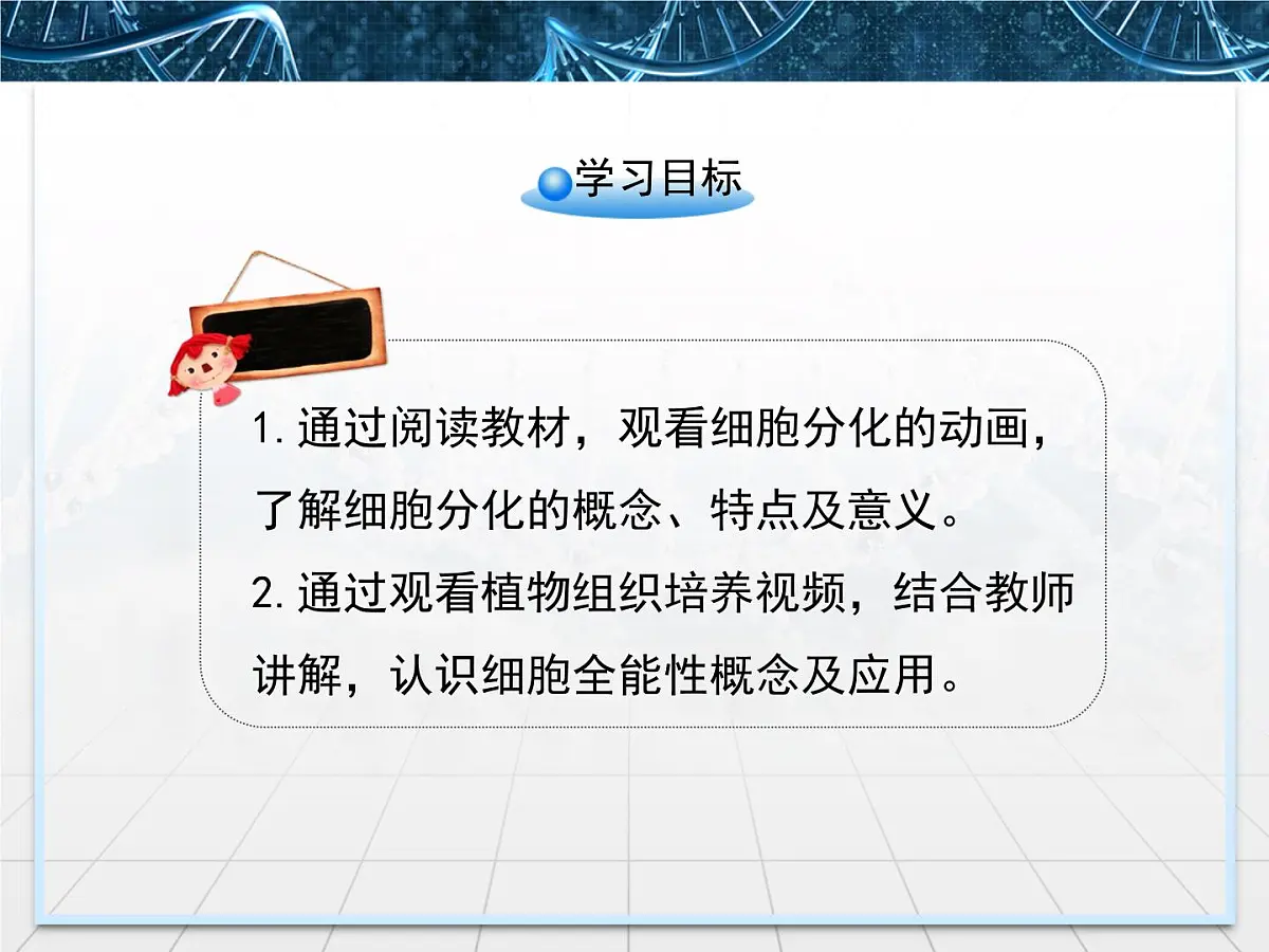 人教版 (新课标)高中生物 必修1 6-2《细胞的分化》课件第3页