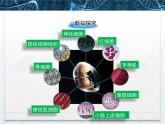 人教版 (新課標(biāo))高中生物 必修1 6-2《細(xì)胞的分化》課件