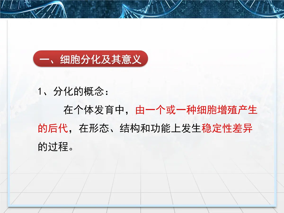 人教版 (新课标)高中生物 必修1 6-2《细胞的分化》课件第5页