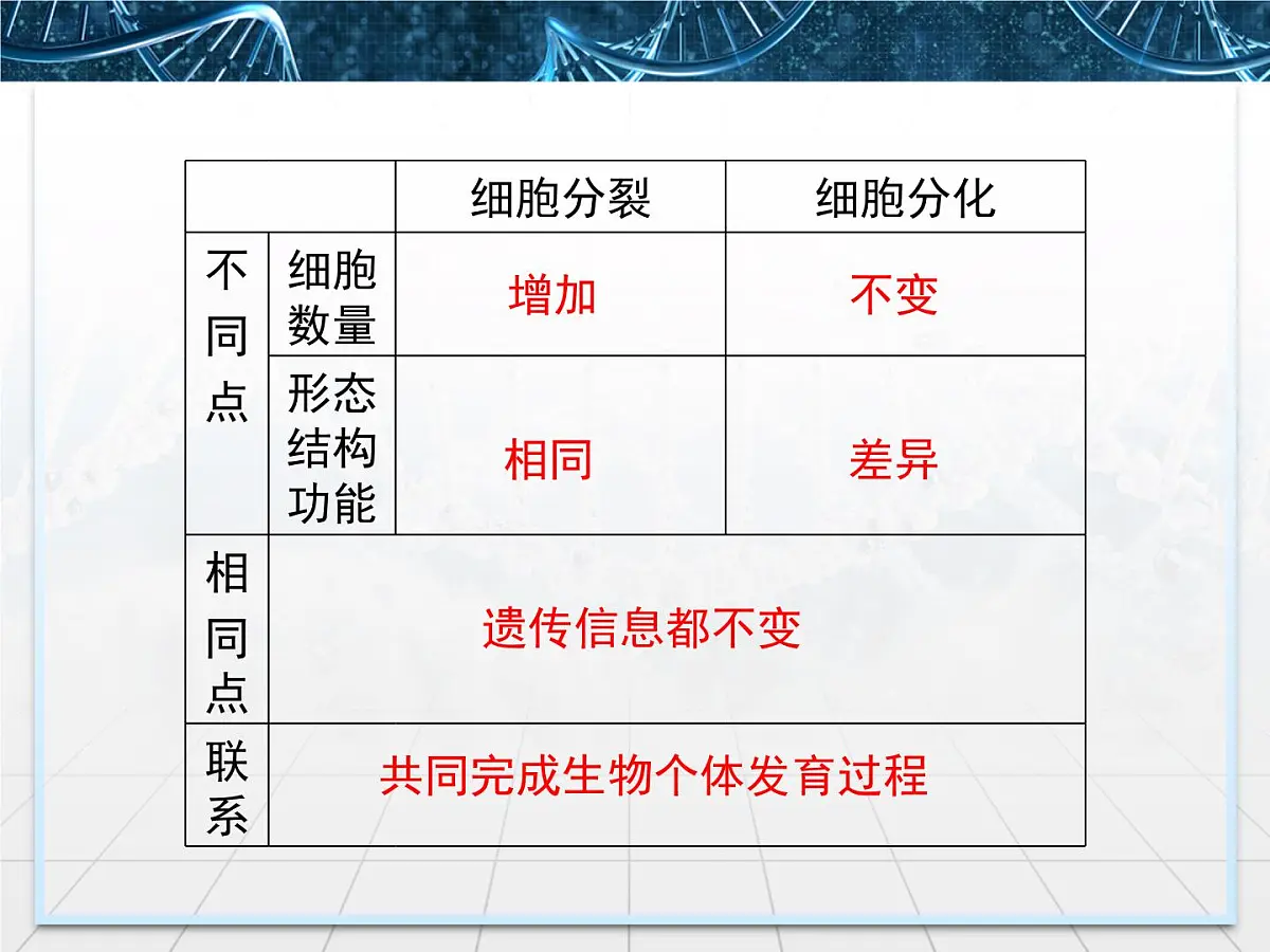 人教版 (新课标)高中生物 必修1 6-2《细胞的分化》课件第7页