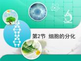 人教版 (新課標(biāo))高中生物 必修1 6-2《細(xì)胞的分化》復(fù)習(xí)課件