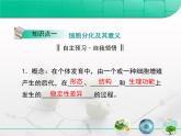 人教版 (新課標(biāo))高中生物 必修1 6-2《細(xì)胞的分化》復(fù)習(xí)課件