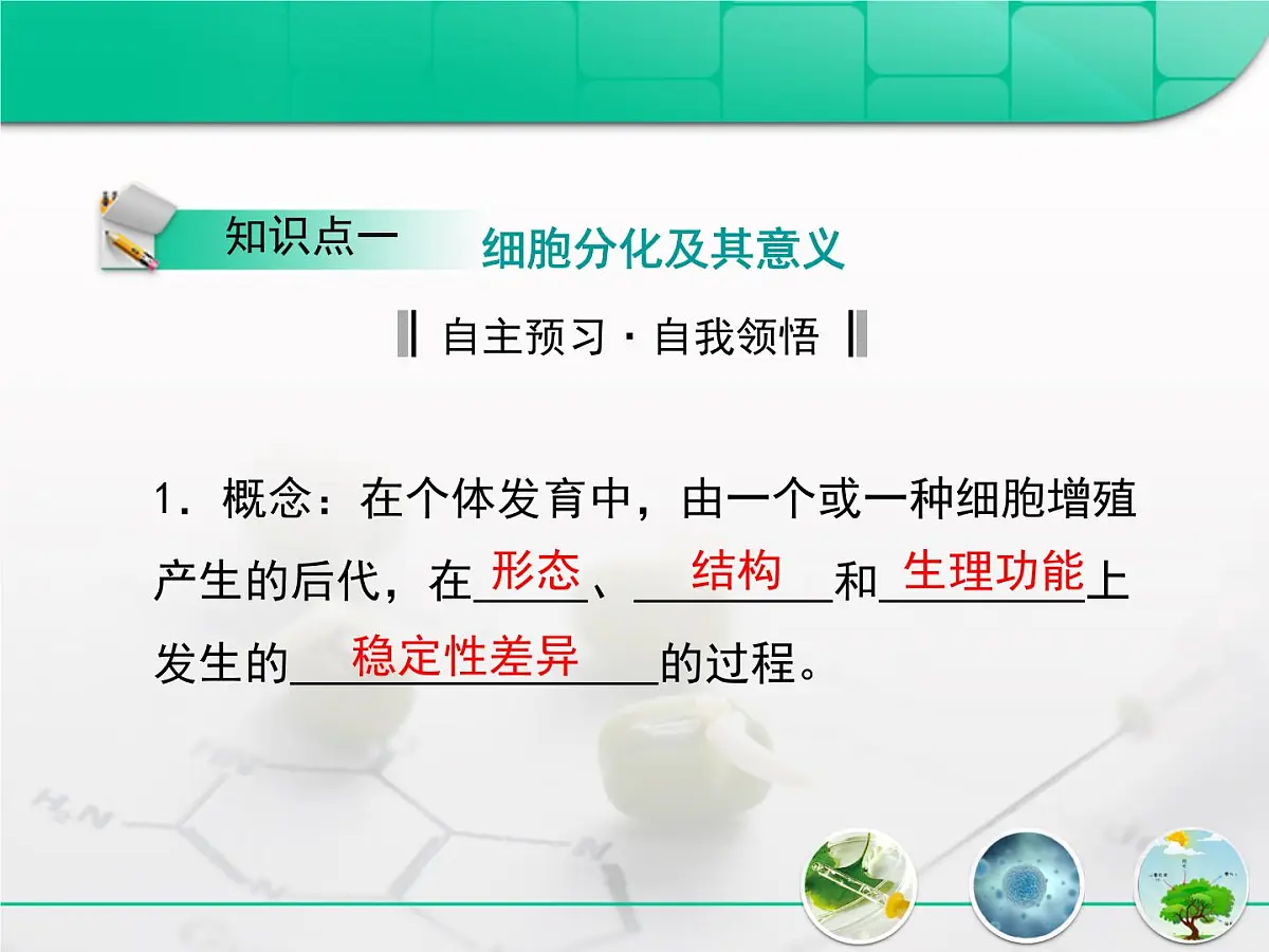 人教版 (新课标)高中生物 必修1 6-2《细胞的分化》复习课件第3页