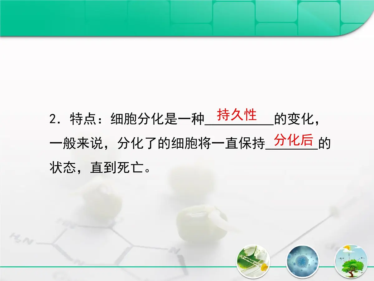 人教版 (新课标)高中生物 必修1 6-2《细胞的分化》复习课件第4页