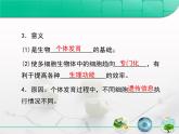 人教版 (新課標(biāo))高中生物 必修1 6-2《細(xì)胞的分化》復(fù)習(xí)課件