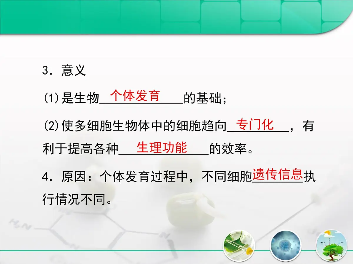 人教版 (新课标)高中生物 必修1 6-2《细胞的分化》复习课件第5页
