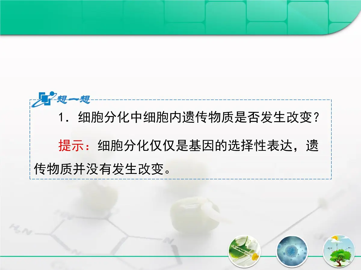 人教版 (新课标)高中生物 必修1 6-2《细胞的分化》复习课件第6页