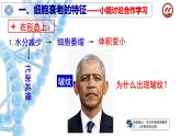人教版 (新課標)高中生物 必修1 6-3《細胞的衰老和凋亡》課件