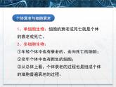 人教版 (新課標)高中生物 必修1 6-3《細胞的衰老和凋亡》課件
