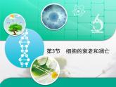 人教版 (新課標)高中生物 必修1 6-3《細胞的衰老和凋亡》復習課件
