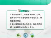 人教版 (新課標)高中生物 必修1 6-3《細胞的衰老和凋亡》復習課件