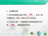 人教版 (新課標)高中生物 必修1 6-3《細胞的衰老和凋亡》復習課件